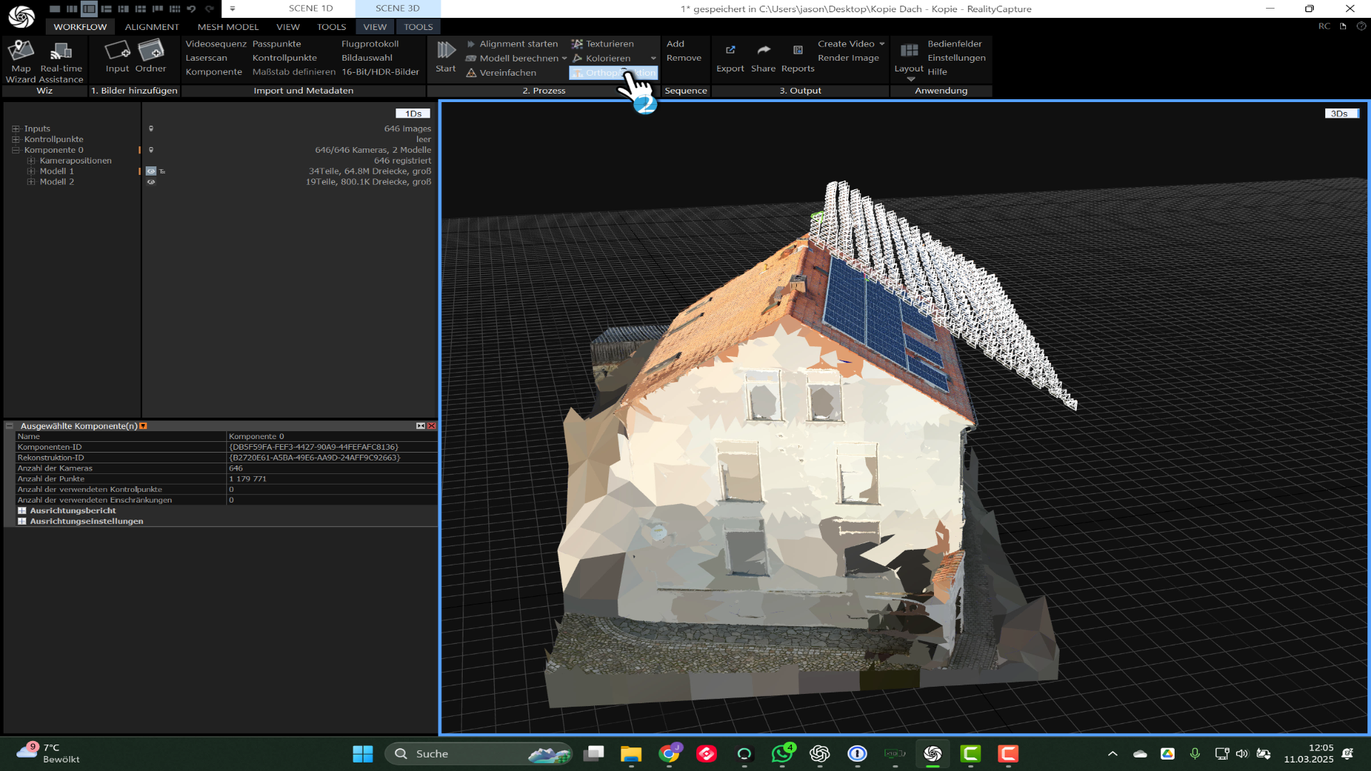 Frame 1 Orthophoto.png