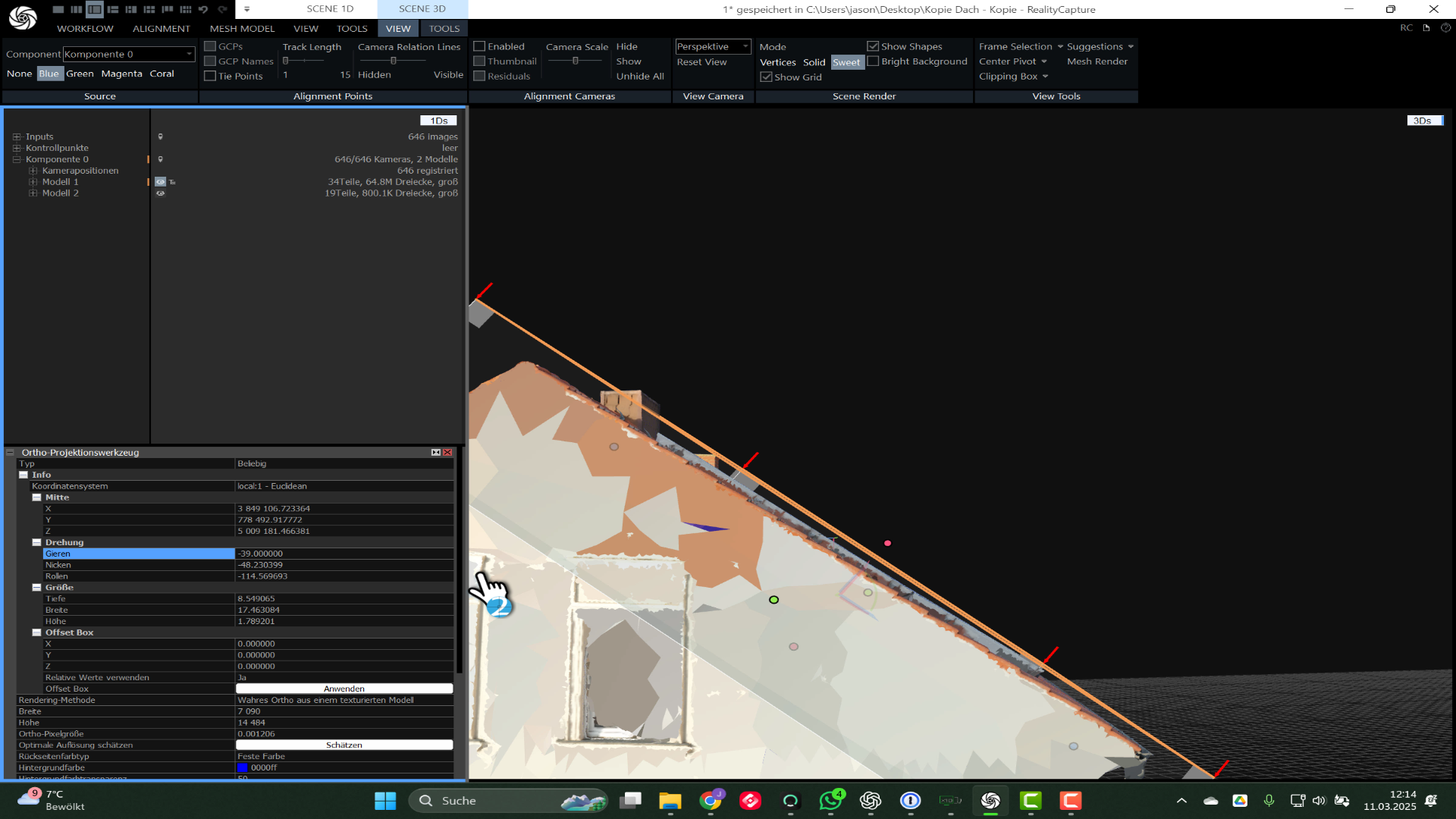 Frame 2 Orthophoto.png